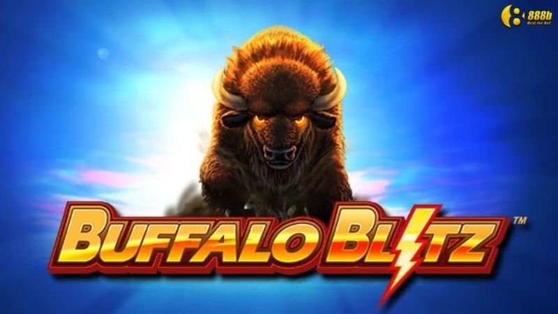 no-hu-buffalo-blitz-1