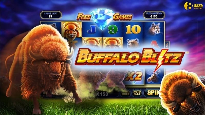 no-hu-buffalo-blitz-3