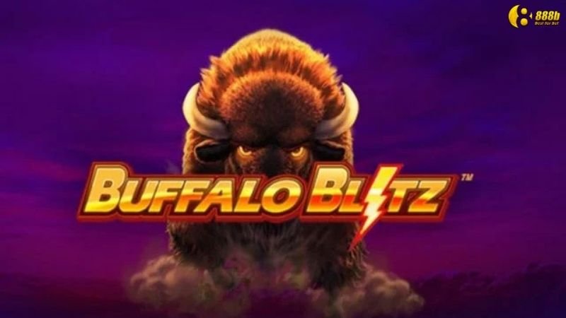 no-hu-buffalo-blitz