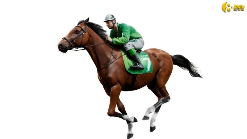 sanh-the-thao-ao-kiron-interactive